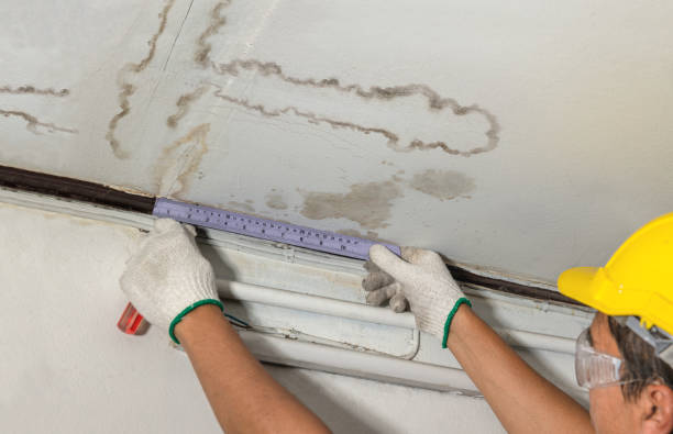 Reliable Mold Remediation contractor in Marshall, WI by Water Damage Irwin